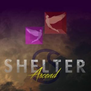 Shelter - Asvend